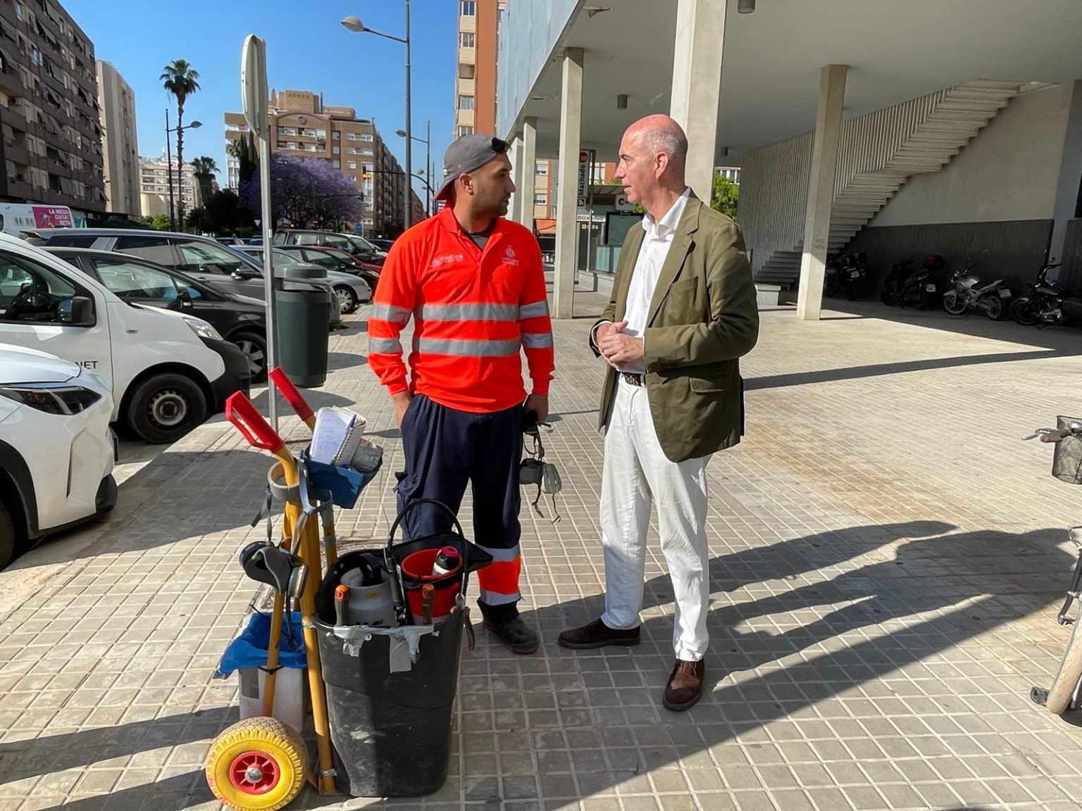 Plantes et maisons en péril : l’été espagnol amplifie l’invasion d’insectes nuisibles
