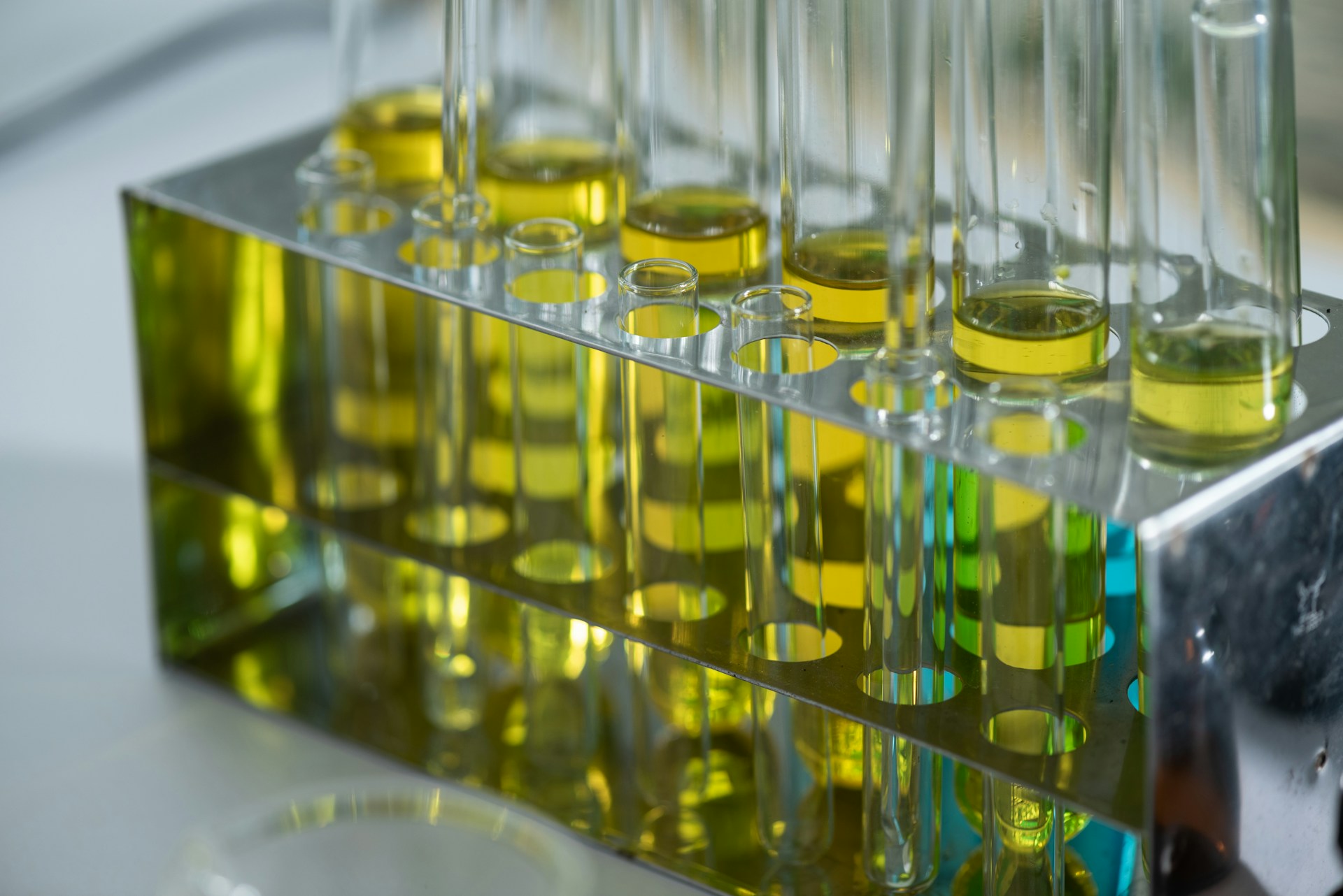 Jovenes innovadores transforman aceite usado en biodiesel en Leon impulsando - plare.