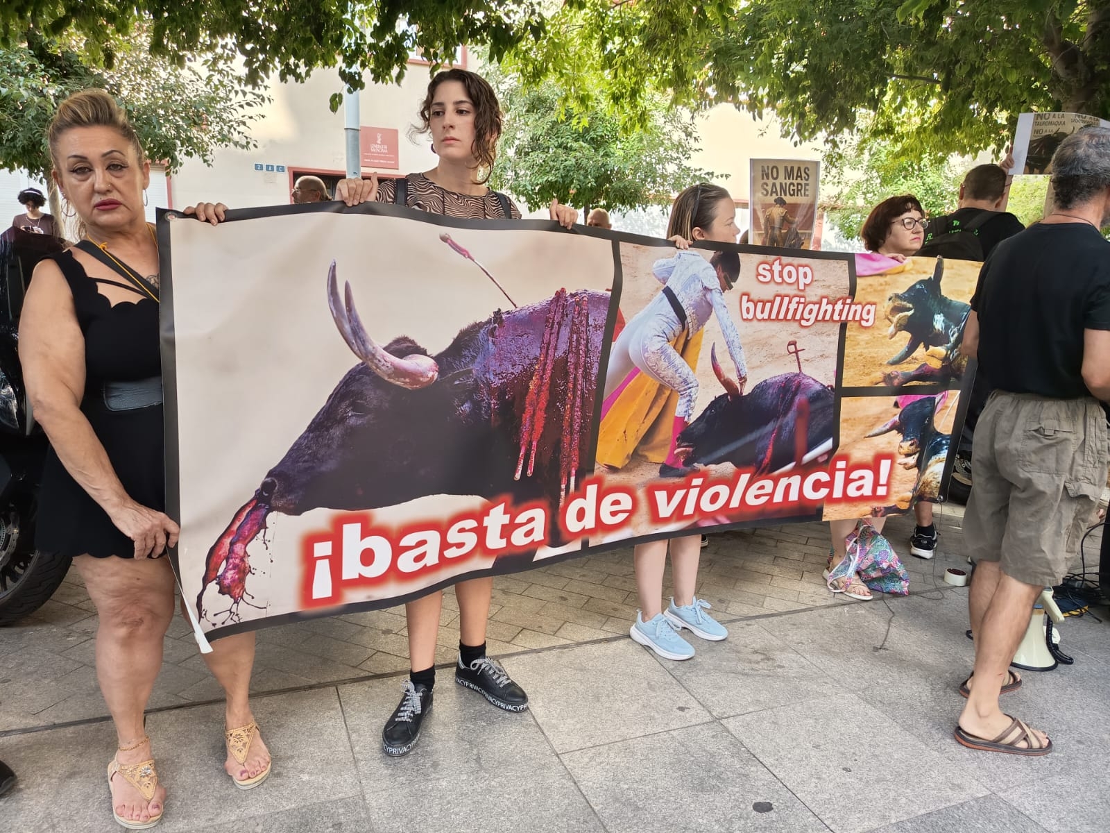 Pamplona sembrase lors dune journee de protestation antitaurine avant les - plare.