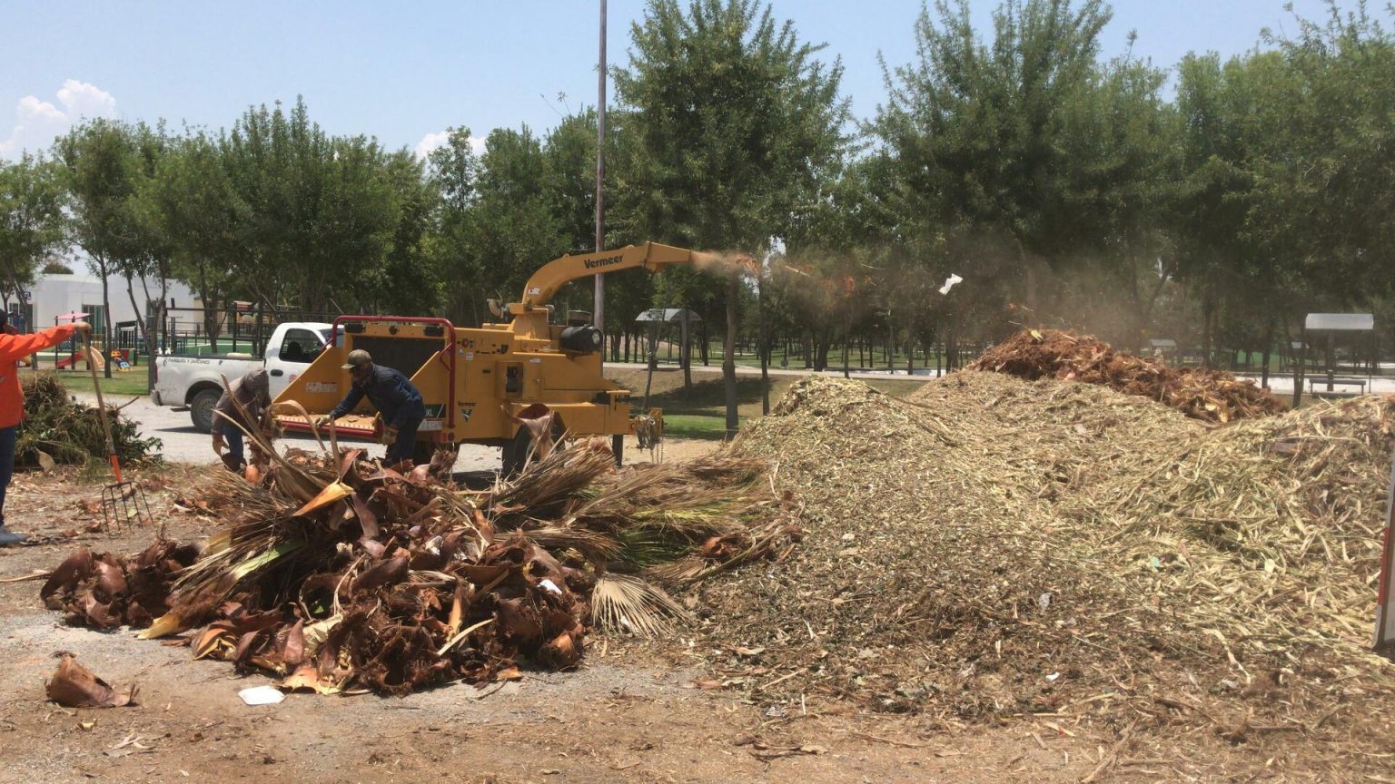 Projets communautaires en pleine expansion et leur impact positif sur l’environnement