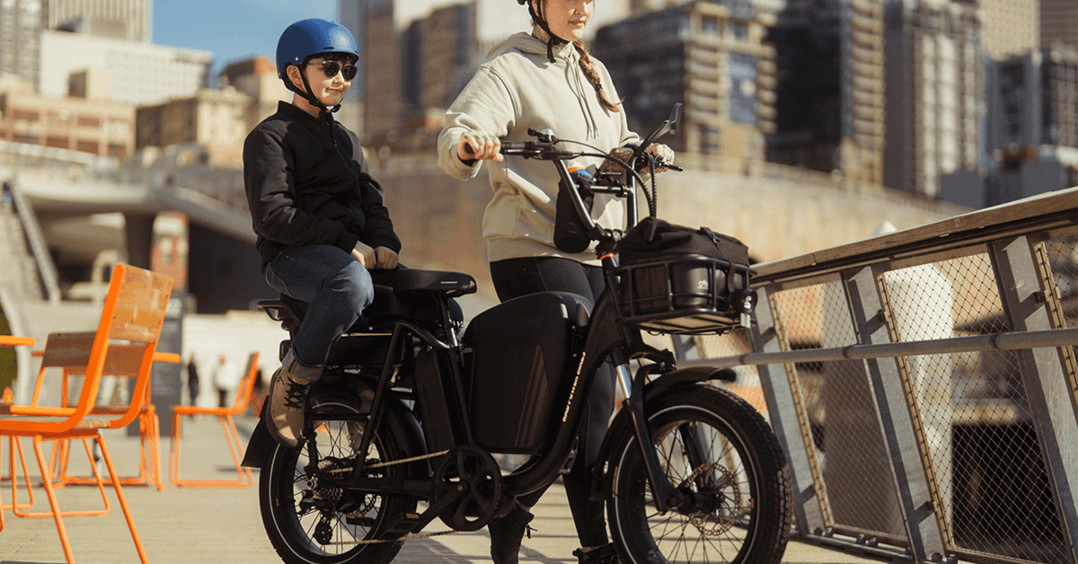 Rad Power RadRunner Plus Cargo Utility e bike - plare.