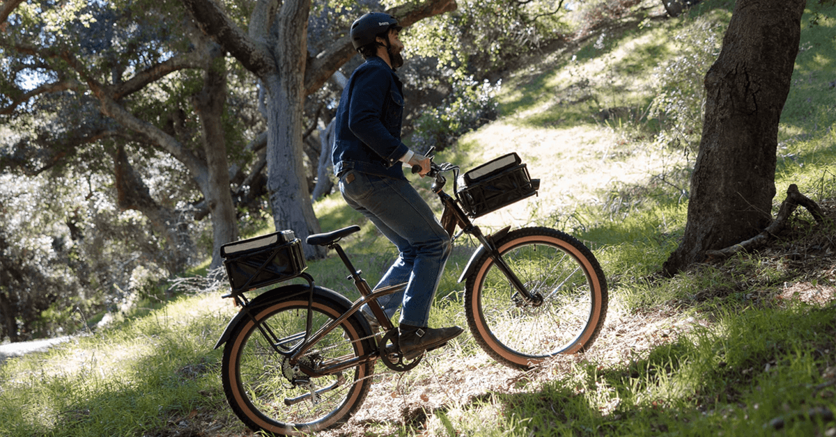 Rad Power Radster Trail Off Road e bike - plare.