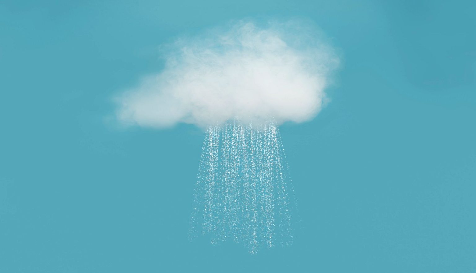 Risques et maladies affectant la production : conseils pour une gestion efficace des cultures