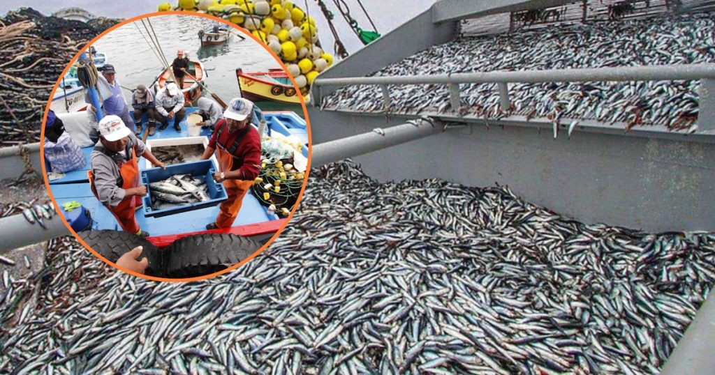 Transformations, innovations et défis en latino-amérique : un aperçu des modèles économiques actuels