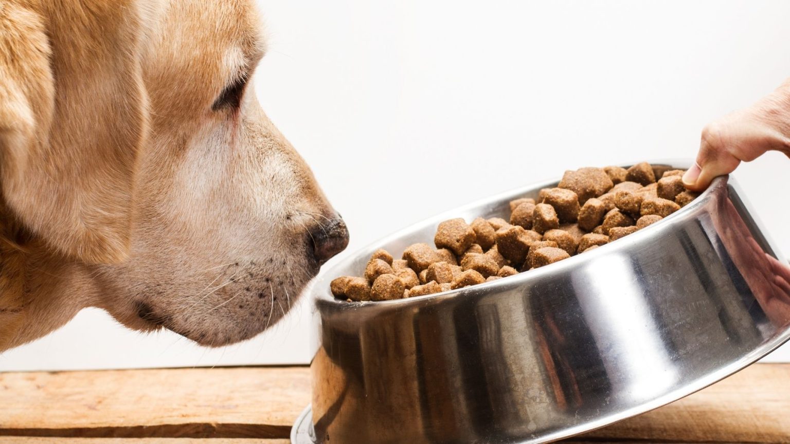 Bien sûr ! Voici un titre SEO accrocheur basé sur vos critères :
« Clés essentielles, bénéfices surprenants et conseils pratiques pour optimiser votre expérience »