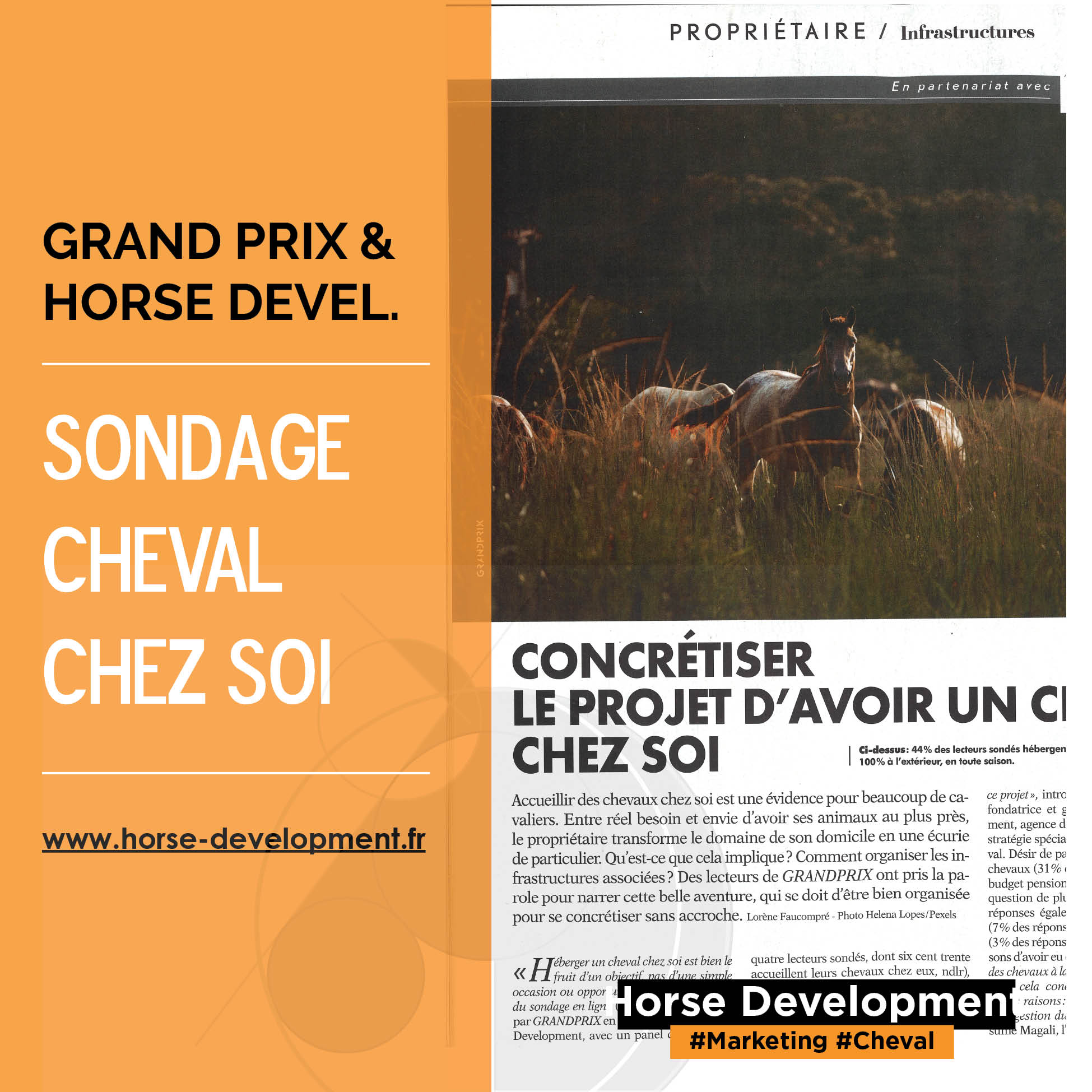 découvrez des alternatives innovantes pour les passionnés de chevaux à paris. explorez des solutions créatives et durables pour améliorer le bien-être animal et enrichir l'expérience équestre dans la capitale.