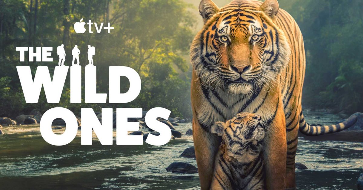 apple tv wild ones - plare.