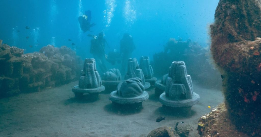 « Exploration de l’innovation et de la biodiversité marine : un regard sur les merveilles sous l’eau »