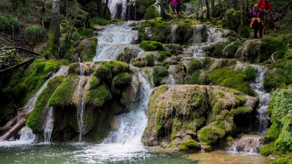 Bien sûr ! Voici une proposition de titre SEO :
« Retos y aniversarios: optimiza tus procesos de candidatura para un éxito garantizado »
