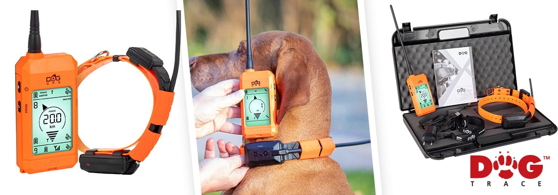 Les 10 colliers GPS incontournables pour suivre votre chien - plare. découvrez notre sélection de colliers gps pour chiens, des accessoires indispensables pour suivre les aventures de votre compagnon à quatre pattes en toute sécurité. améliorez vos promenades et retrouvez votre animal rapidement grùce à la technologie de géolocalisation.