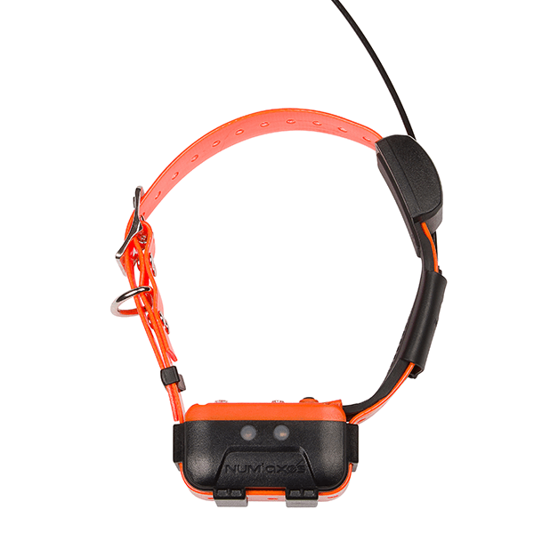 Les 10 colliers GPS incontournables pour suivre votre chien - plare. dĂ©couvrez les collier gps pour chiens, la solution idĂ©ale pour suivre et sĂ©curiser votre compagnon Ă quatre pattes. profitez d'un systĂšme de localisation prĂ©cis, de fonctionnalitĂ©s de suivi en temps rĂ©el et d'un design confortable pour garantir le bien-ĂȘtre de votre animal. ne perdez plus jamais de vue votre chien, mĂȘme lors de vos sorties en plein air!
