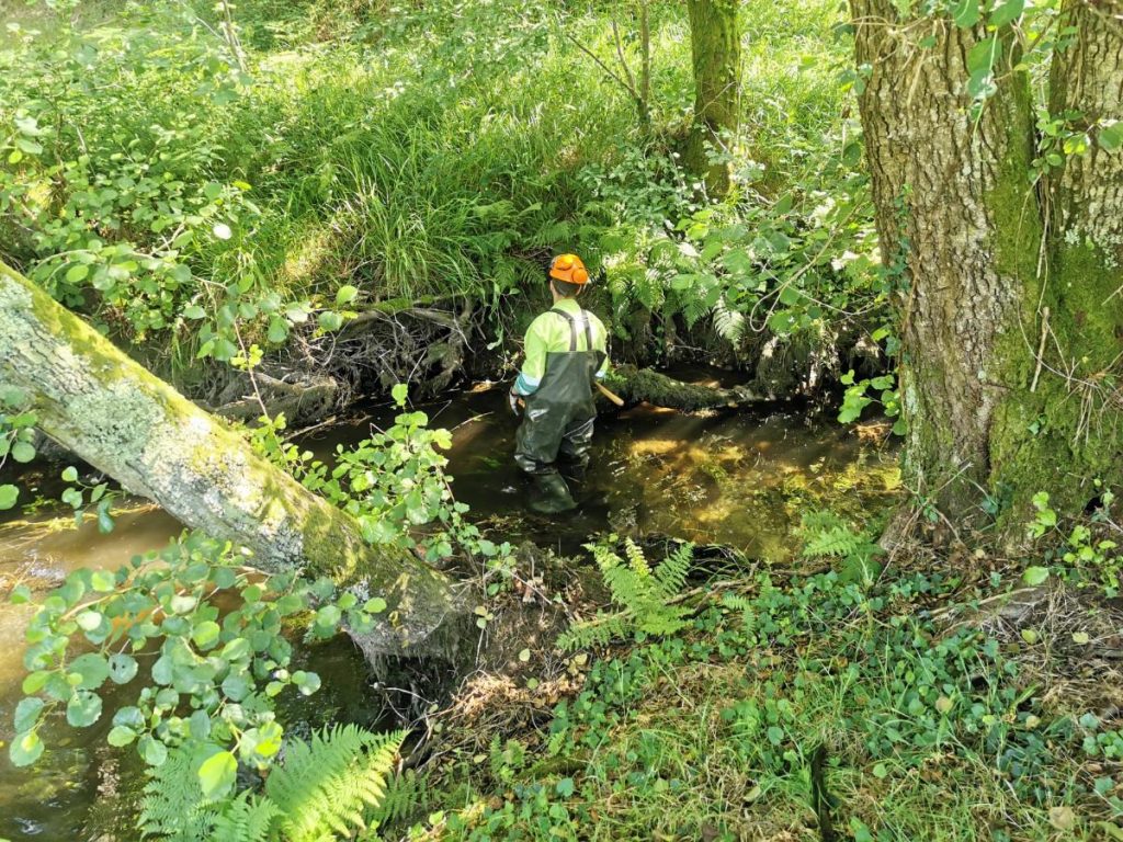 La conservation fluviale : clé pour la santé des rivières et la protection de l’écosystème naturel