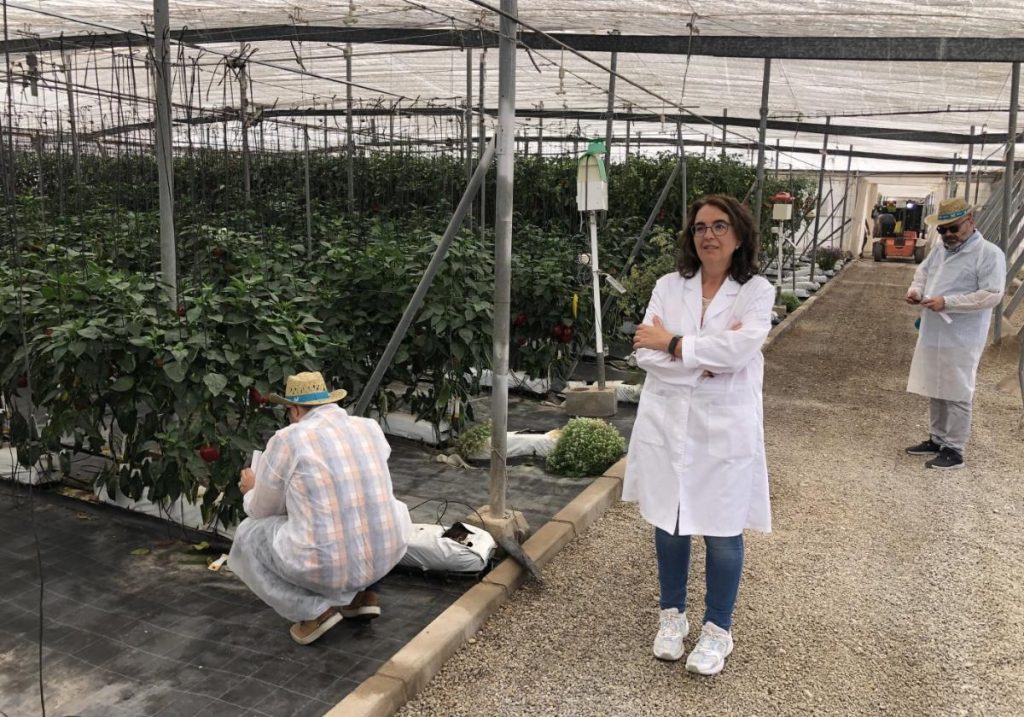 Vie, science et résilience dans les paysages arides : comprendre l’adaptation des espèces à l’extrême