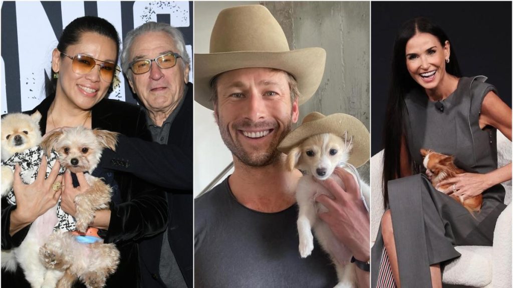 Bénéfices et conseils pour adopter des bureaux pet-friendly en pleine croissance