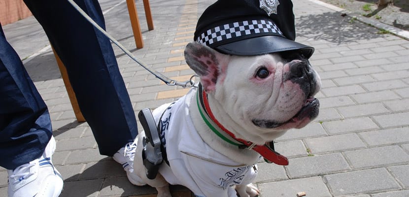 disfraces carnaval policia para perros - plare.