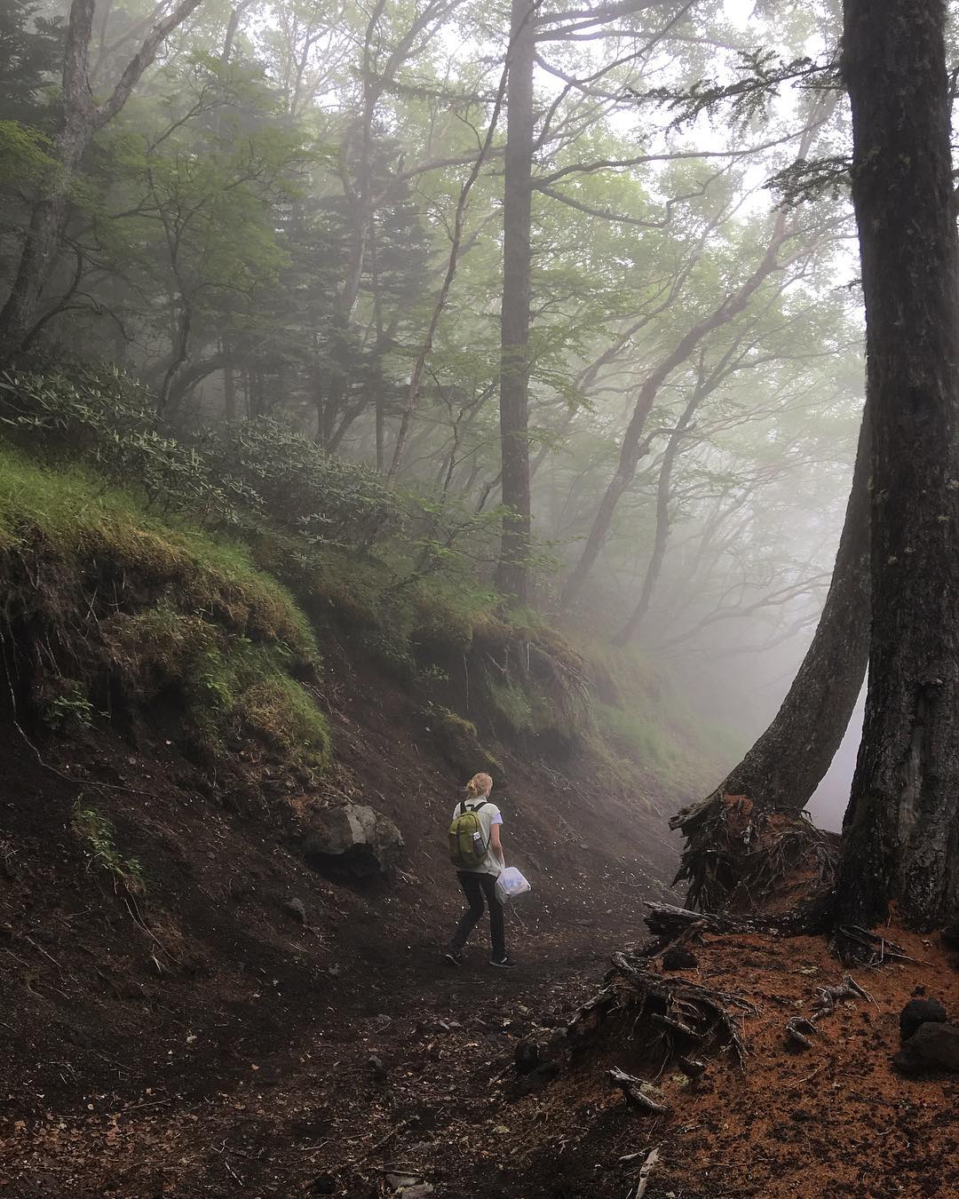 découvrez les lieux les plus énigmatiques de la planète, des ruines anciennes aux forêts enchantées, en passant par des monuments oubliés. partez à l'aventure et laissez-vous séduire par ces endroits mystérieux qui racontent des histoires fascinantes.