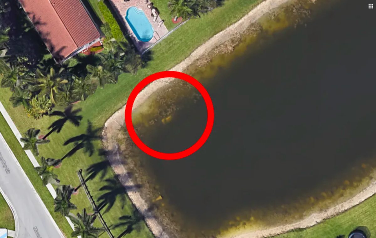 Découvrez comment Google Earth vous permet d'explorer l'évolution de votre quartier à travers le temps - plare. découvrez l'évolution surprenante de votre quartier grâce à google earth. explorez les transformations architecturales et environnementales au fil des ans, et admirez l'impact du développement urbain sur nos paysages. plongez dans l'histoire locale et visualisez les changements depuis l'ère numérique.