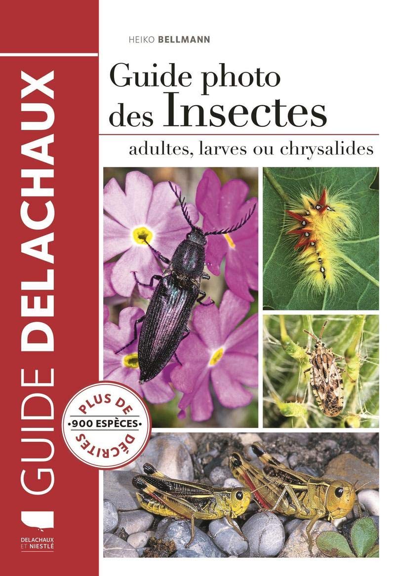 découvrez notre guide adultes gratuit, conçu pour vous accompagner dans vos choix de vie. profitez de conseils pratiques, d'astuces utiles et d'informations essentielles pour naviguer avec confiance dans le monde moderne. téléchargez-le dès maintenant et améliorez votre quotidien !