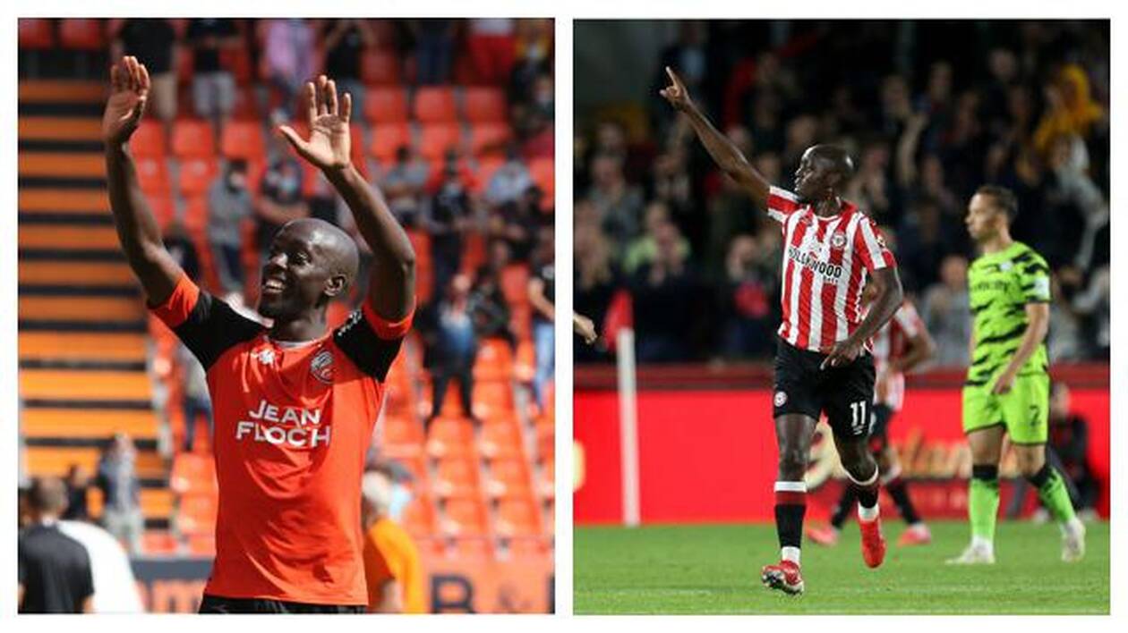 découvrez les joueurs emblématiques de brentford qui ont marqué l'histoire du club. plongez dans leurs parcours, leurs performances mémorables et leur impact sur l'équipe au fil des années.
