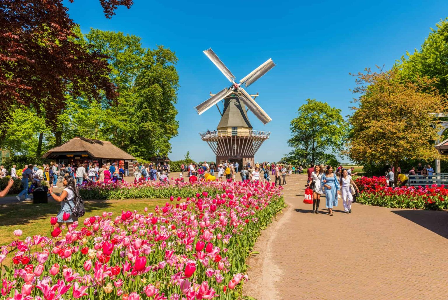 découvrez keukenhof, le jardin extraordinaire des pays-bas, où des millions de tulipes s'épanouissent dans un cadre enchanteur. plongez dans une expérience sensorielle unique, entre couleurs éclatantes et senteurs florales, et laissez-vous émerveiller par la beauté naturelle du printemps.