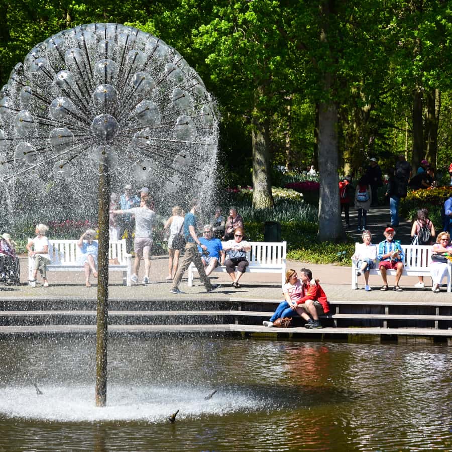 découvrez keukenhof, le jardin des merveilles florales, et plongez dans un temps d'immersion inoubliable au cœur des tulipes éclatantes et des paysages enchanteurs. profitez d'une expérience majestueuse qui célèbre la beauté de la nature au printemps.