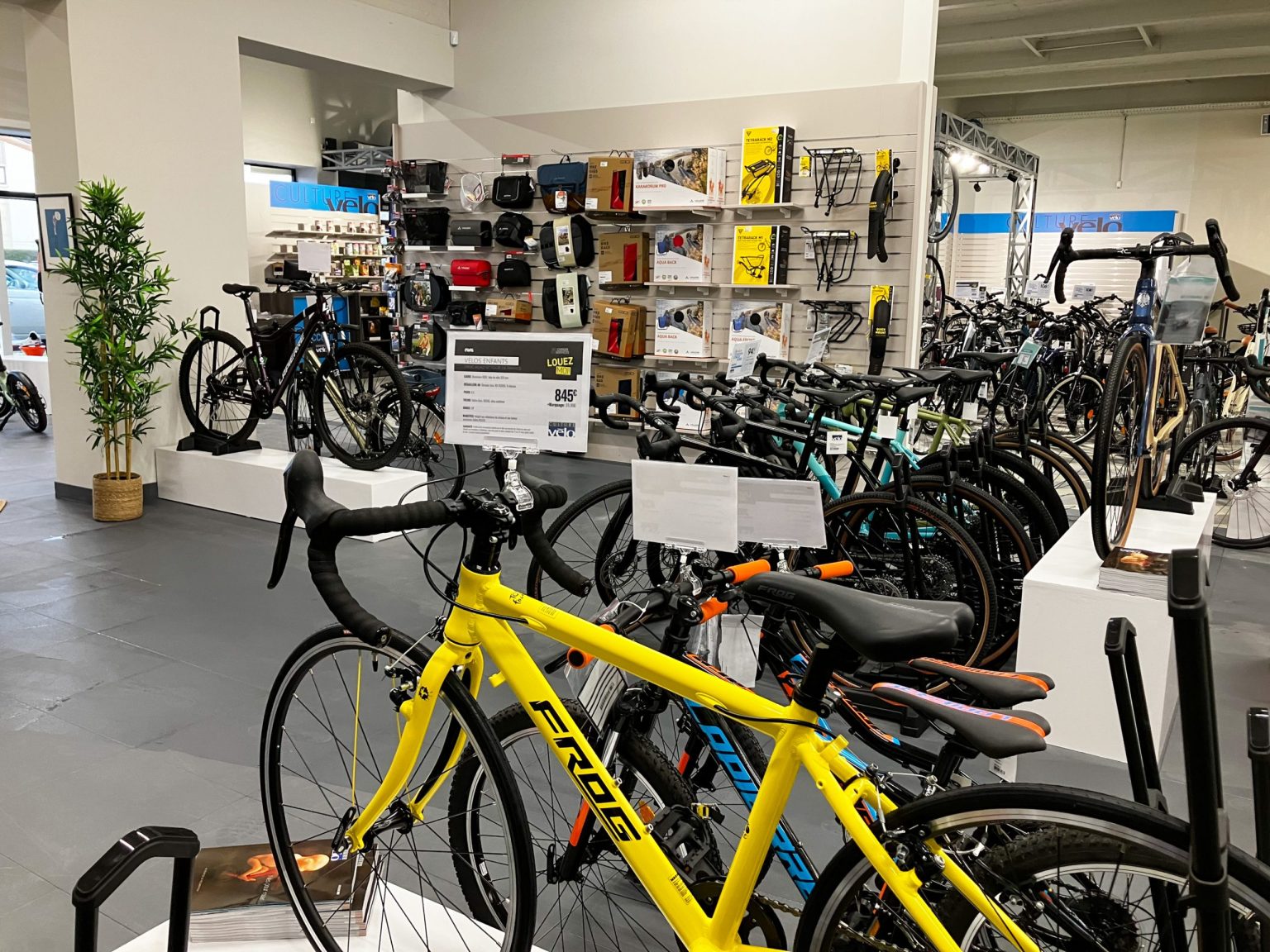 découvrez notre sélection des meilleures boutiques de vélos où vous trouverez des conseils d'experts, un large choix de modèles et des accessoires incontournables pour tous les passionnés de cyclisme.
