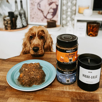 Les 10 meilleures plateformes pour acheter de la nourriture pour vos chiens et chats - plare. découvrez notre sélection des meilleures plateformes pour commander de la nourriture pour vos animaux. trouvez des options de qualité, des conseils d'experts et des offres avantageuses pour prendre soin de vos compagnons à quatre pattes.