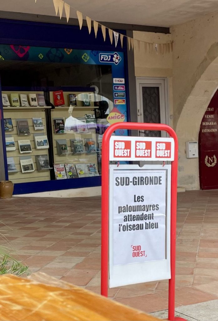 Exploration de la migration des palombes pour la saison 2024-2025 : insights, observations et anticipations découvrez tout sur la migration des palombes pour la saison 2024-2025. suivez les itinéraires, les périodes clés et les conseils pour observer ces magnifiques oiseaux en plein vol. restez informé des dernières tendances et préparez-vous à vivre une expérience unique au cœur de la nature.