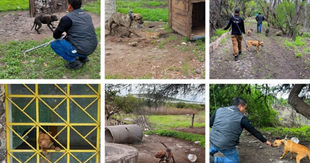 Nouvelles formes de maltraitance et d’extorsion qui inquiètent les autorités européennes