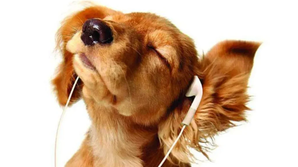 « Esthétique et bien-être digital : un voyage sensoriel vers la connexion optimale »