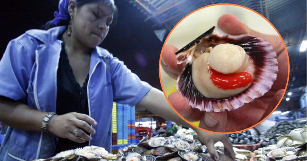 Nouveaux défis et avancées législatives : le rôle central des femmes dans le secteur moderne