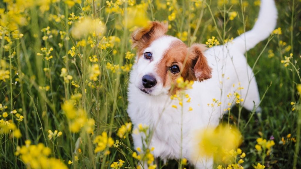 Monde des intoxications : symptômes alarmants et conseils d’experts pour vous protéger