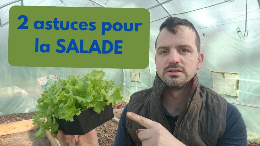 découvrez si simplicity.su est le nouveau reddit pour les simps ou une plateforme à éviter. analyse approfondie des contenus, de la communauté et de l'expérience utilisateur.