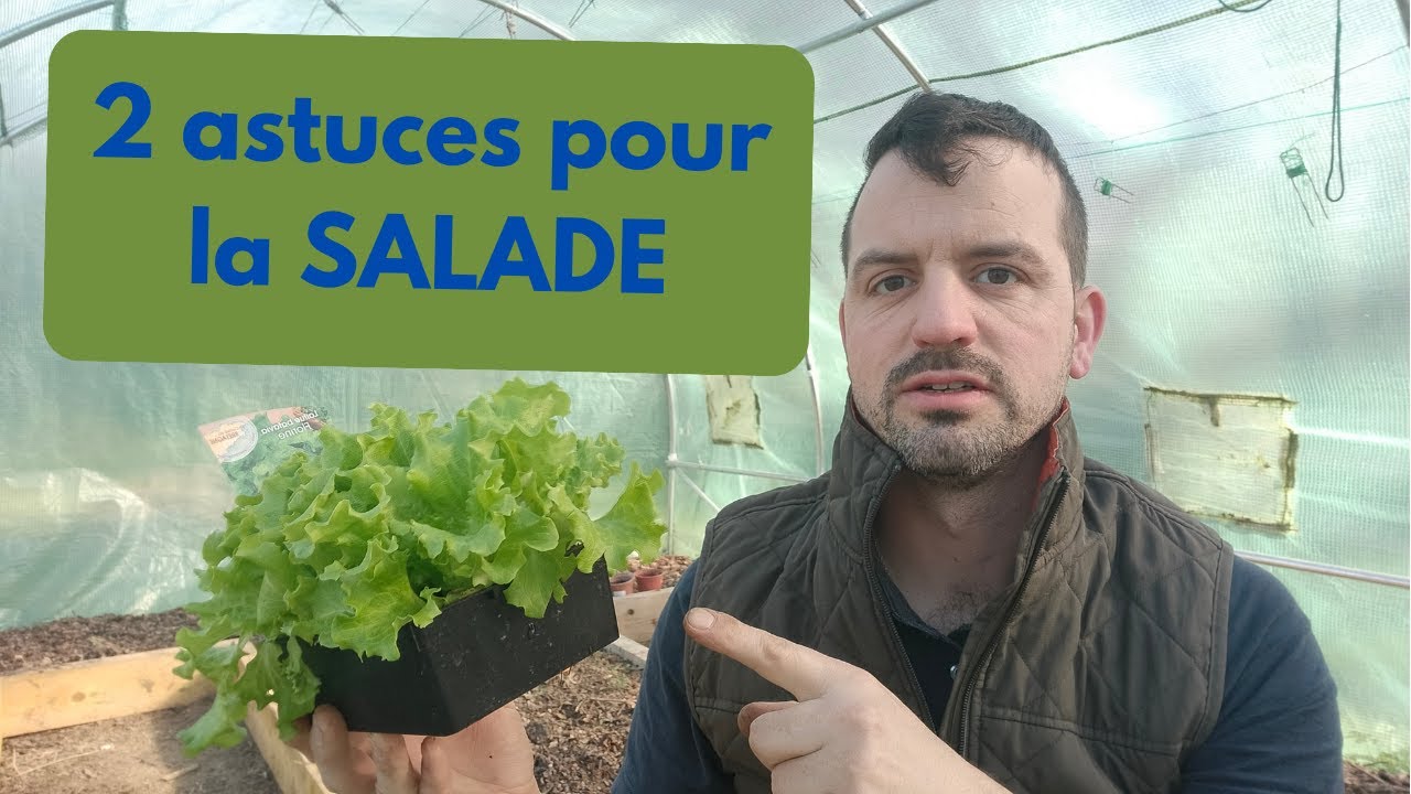 découvrez si simplicity.su est le nouveau reddit pour les simps ou une plateforme à éviter. analyse approfondie des contenus, de la communauté et de l'expérience utilisateur.