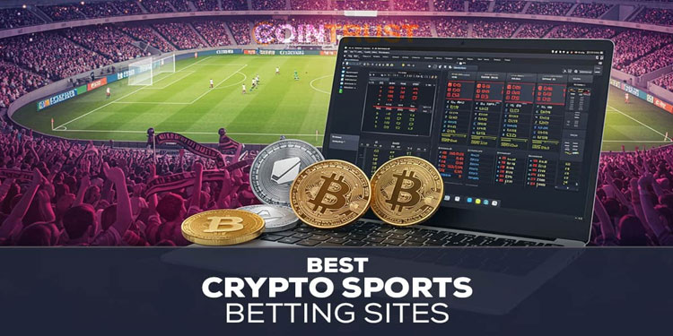 Les 10 sites incontournables pour acheter du Bitcoin et d'autres cryptomonnaies - plare. découvrez les meilleurs sites crypto pour investir, trader et gérer vos actifs numériques. explorez les plateformes de confiance, les comparateurs de crypto-monnaies et des conseils pour naviguer dans l'univers passionnant de la finance décentralisée.