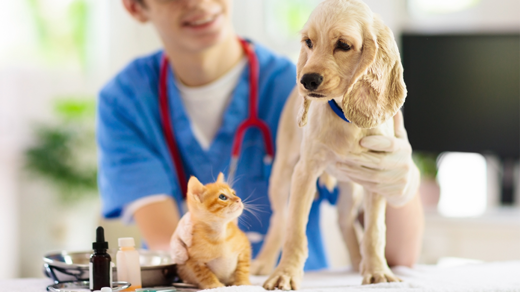 Prévention, accès gratuit et obligation : des clés pour une santé optimale.