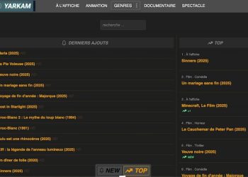 découvrez yarkam dolwiz, votre expert en solutions de sécurité. protégez vos biens avec des technologies avancées et des services personnalisés pour une tranquillité d'esprit optimale.