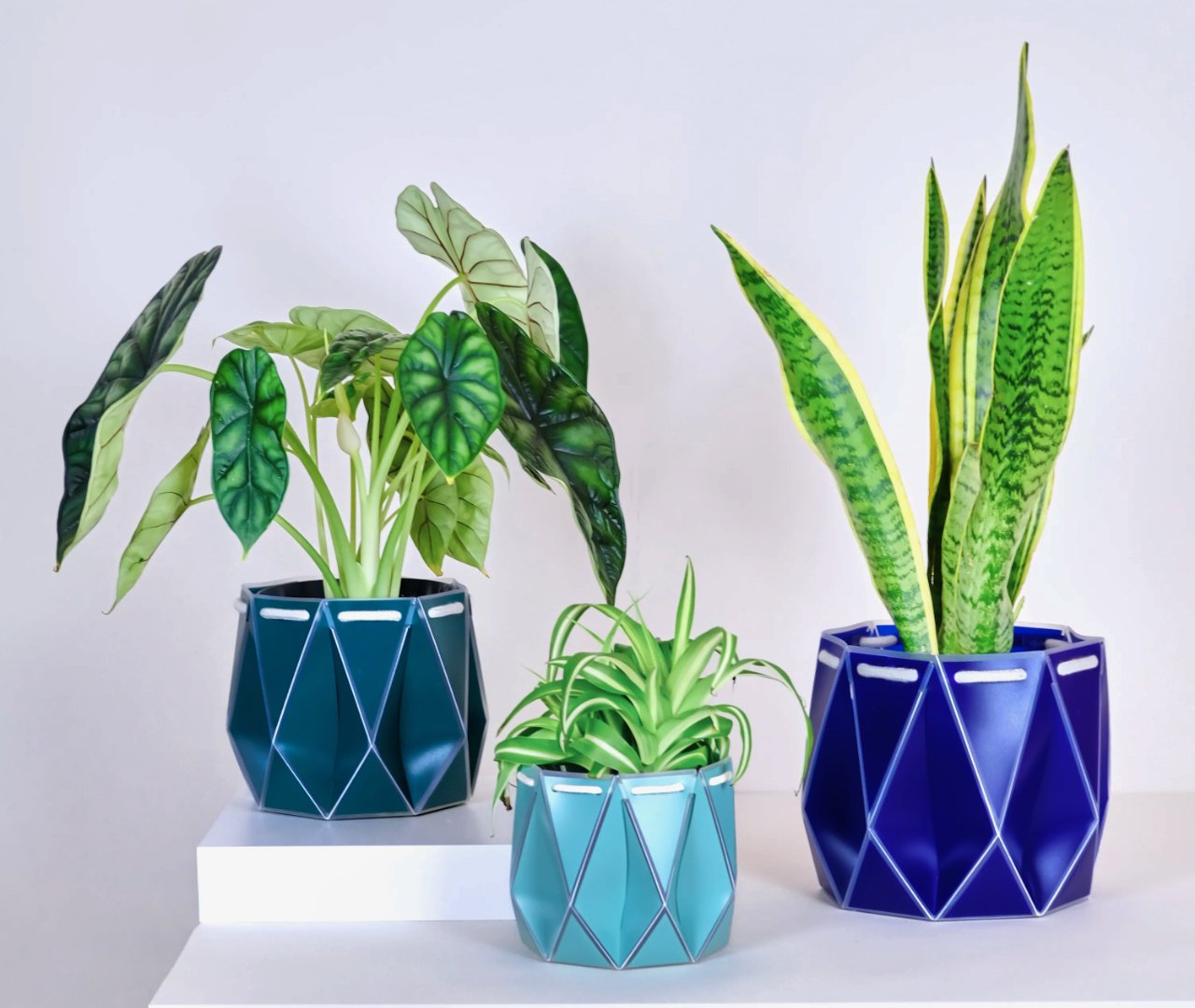 Self-watering POTR Pot