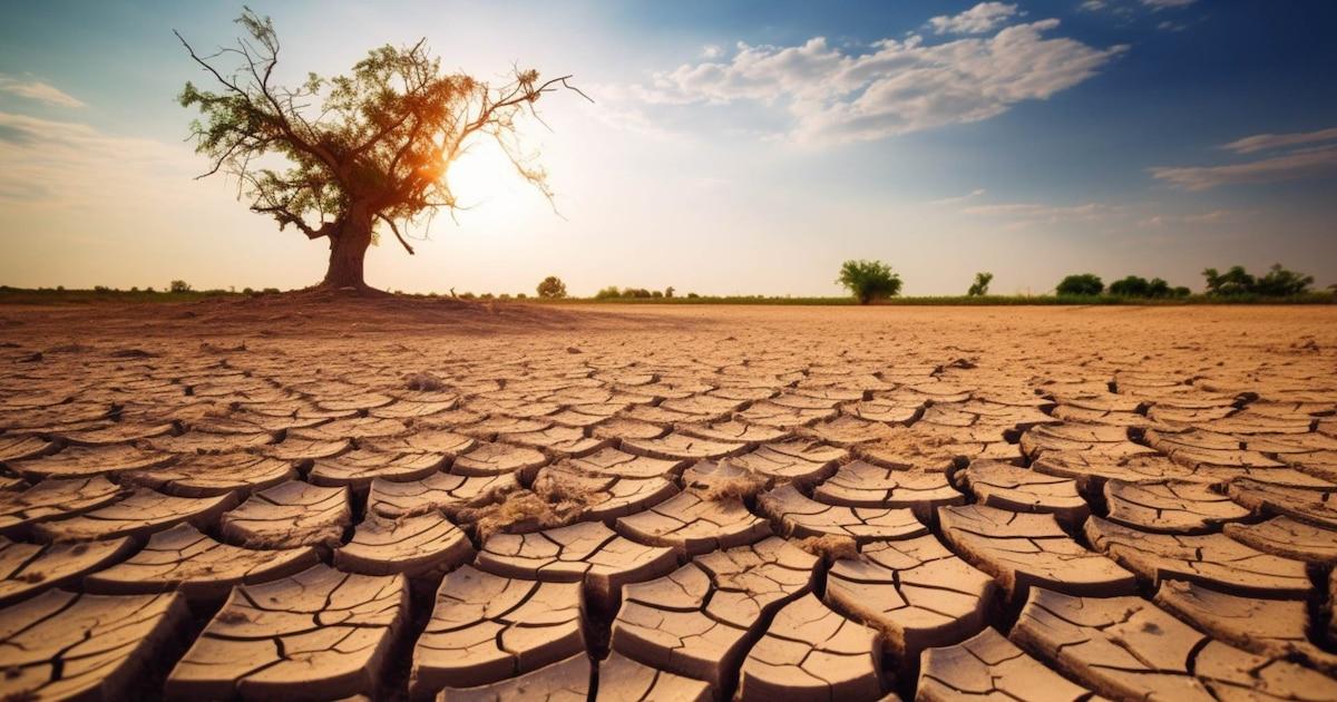 Bénéfices écologiques de l'alimentation
