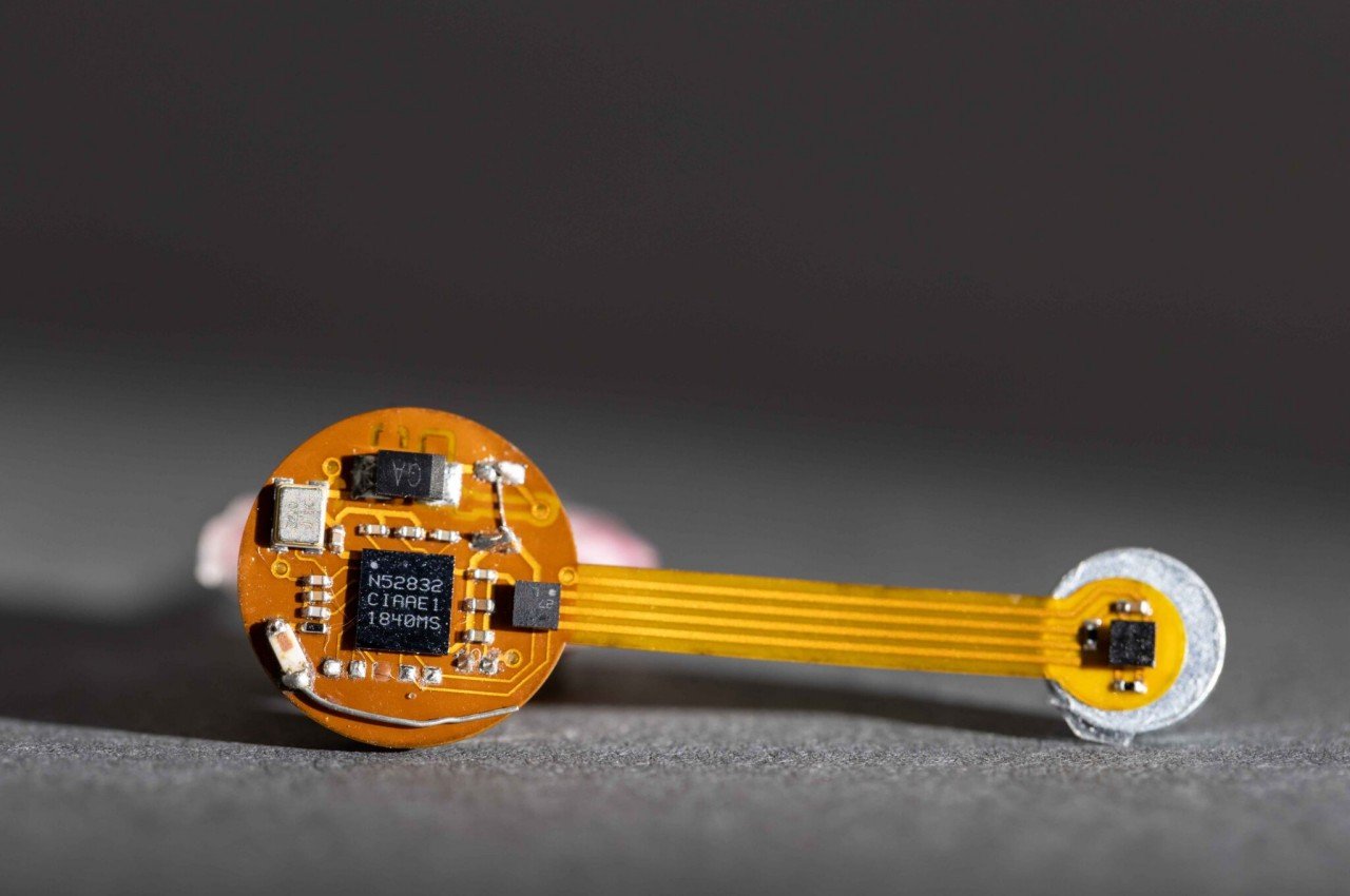 1752667928 310 10 Smart Wearables You Cant Live Without to Revolutionize Your - plare.