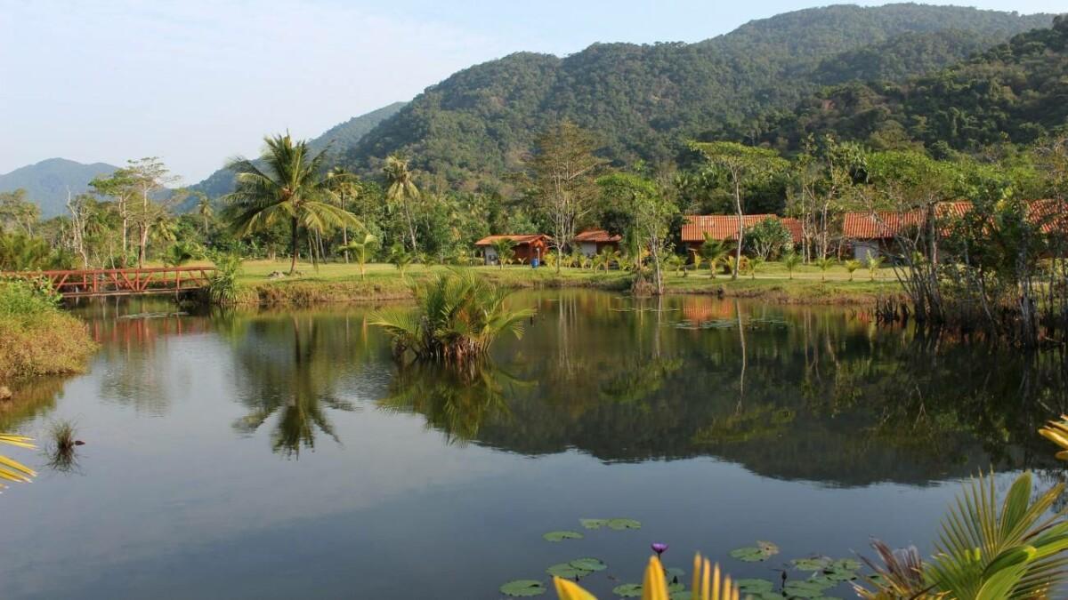 Contrôles des importations de déforestation