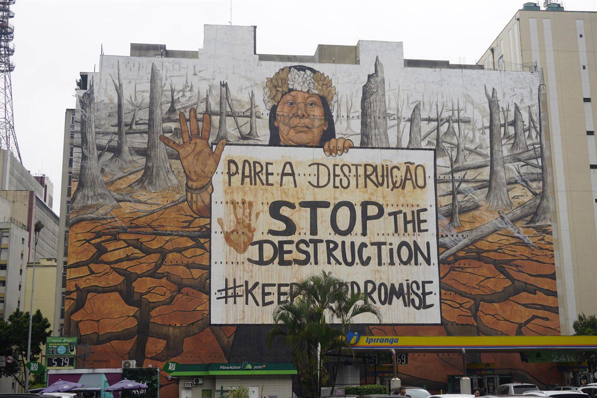 Déforestation Amazonie Brésil