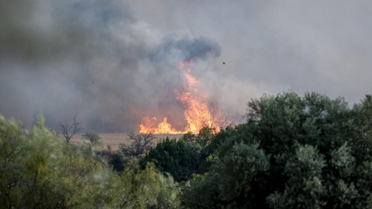 alerte incendies de forêt