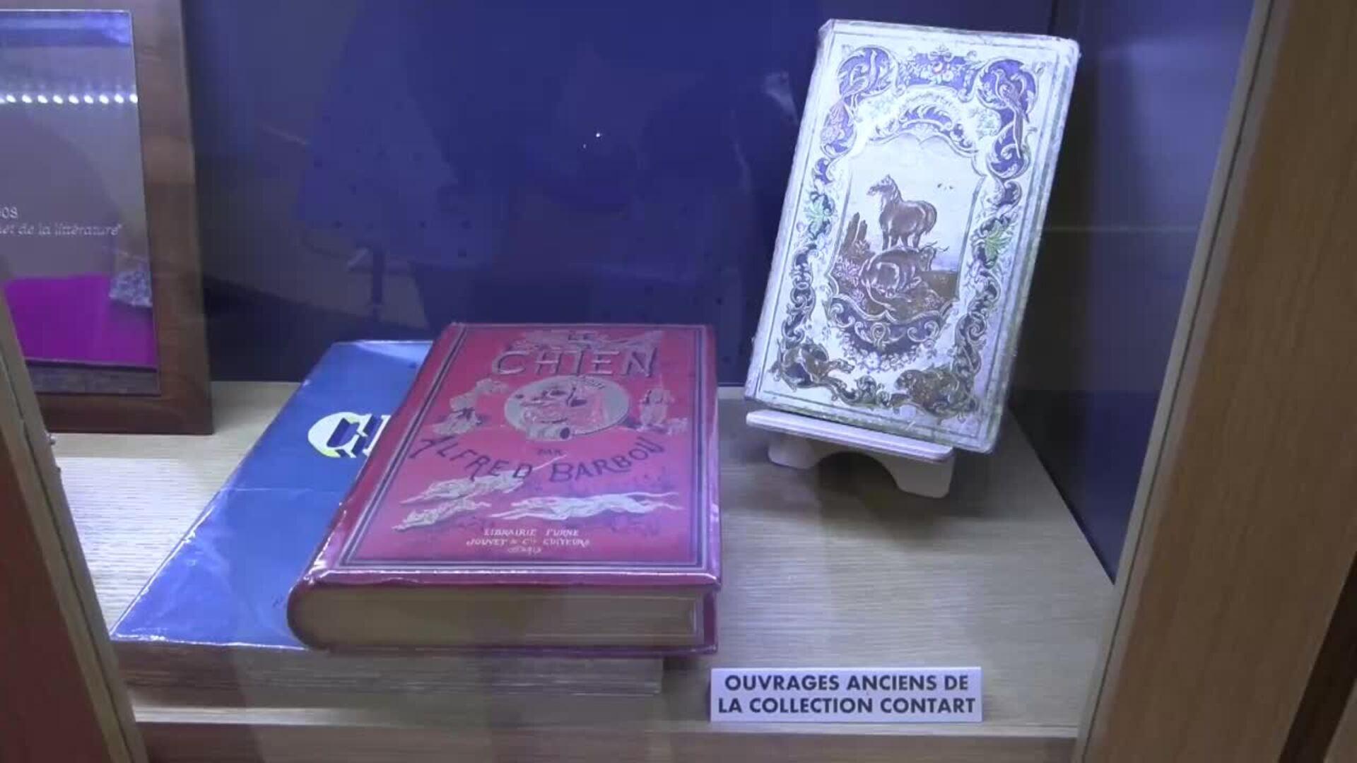 musée chien activités