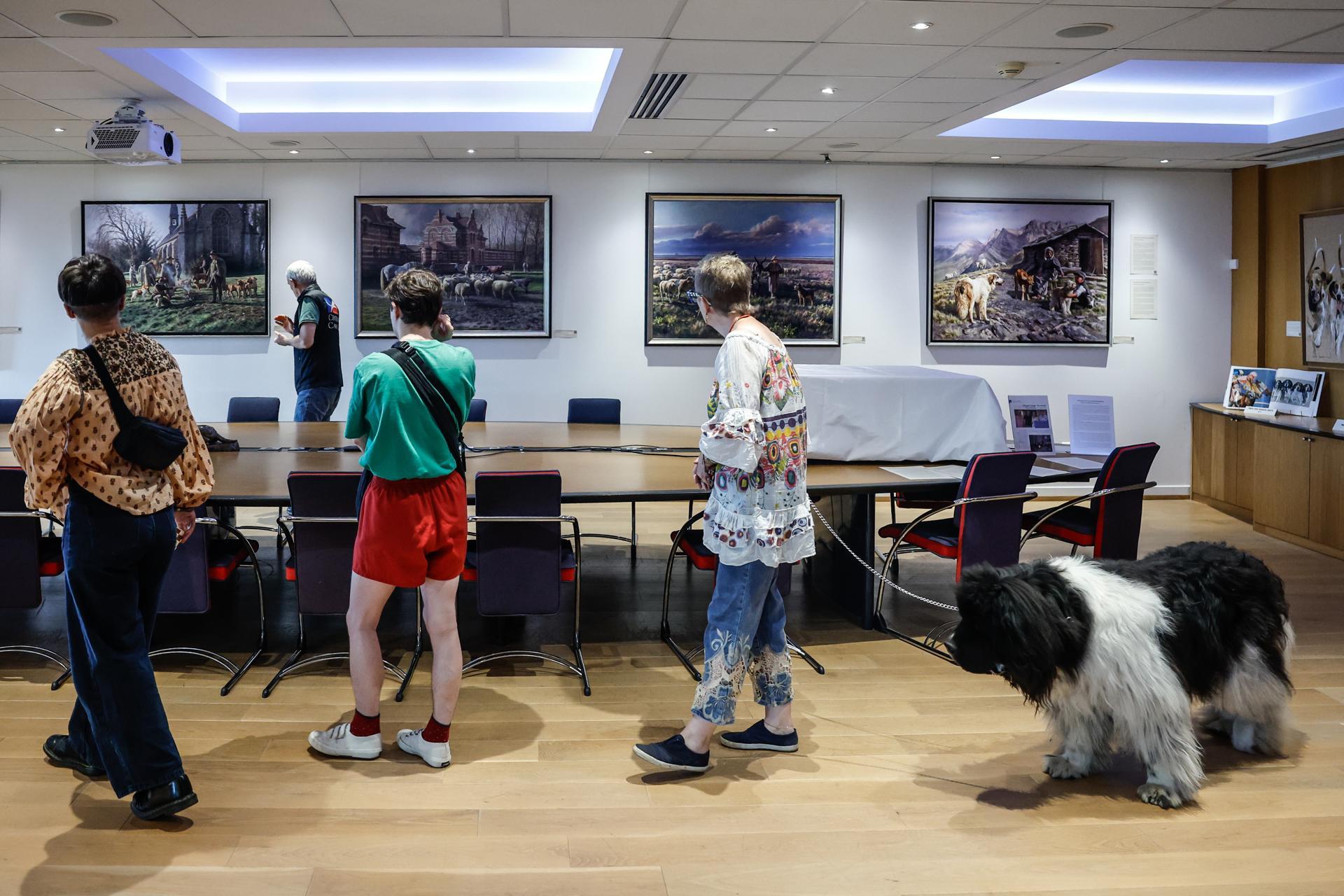 artistes musée chiens