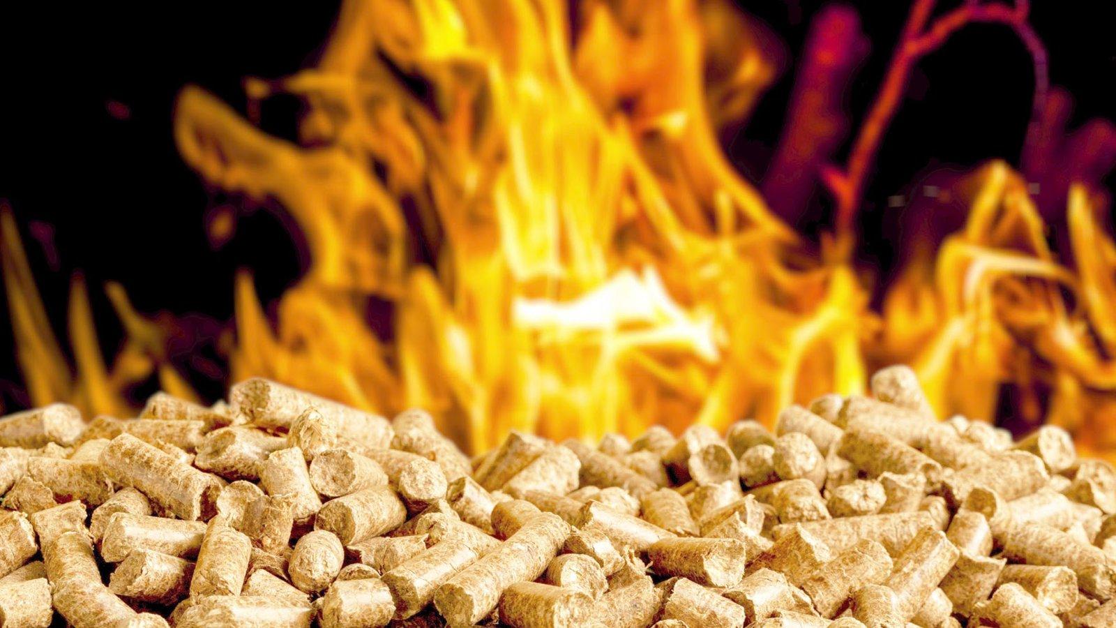 pellets pour chauffage