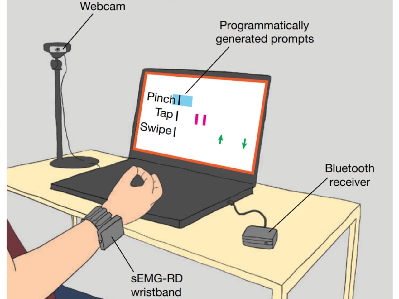 1753309993 482 Decouvrez Comment le Bracelet Neural de Meta Transforme Votre Musculature - plare.