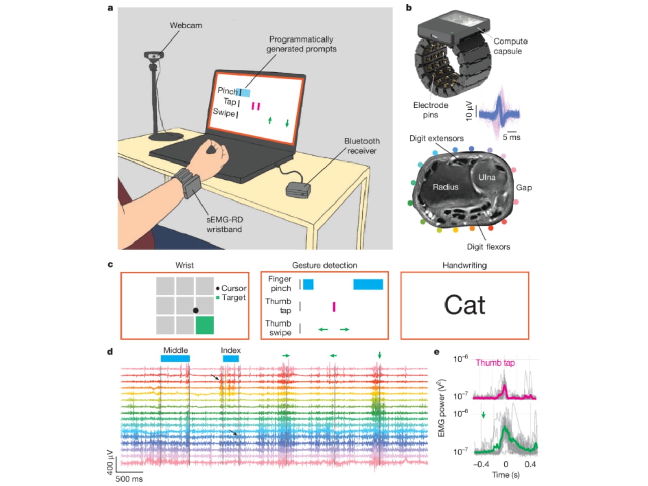1753309994 659 Decouvrez Comment le Bracelet Neural de Meta Transforme Votre Musculature - plare.