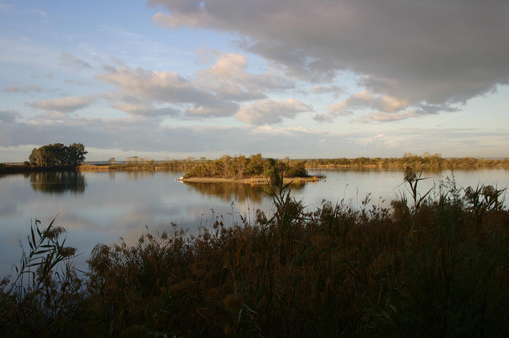 Delta del Ebro et ses environs