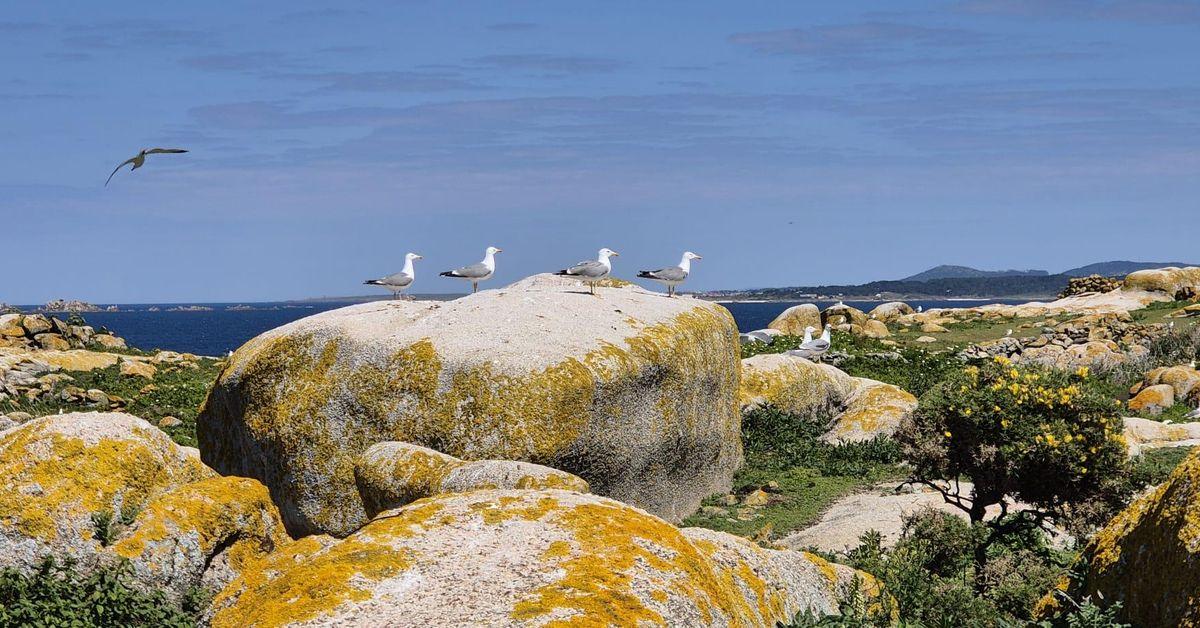 Collaboration internationale pour la conservation des humedales